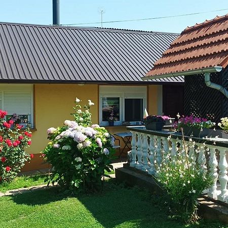Dobrodosli Apartment Mursko Sredisce Bagian luar foto