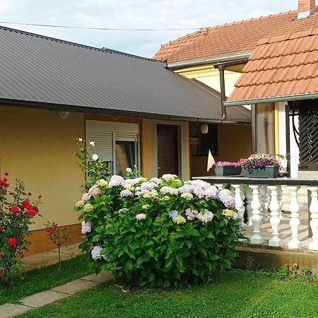 Dobrodosli Apartment Mursko Sredisce Bagian luar foto